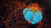 Prevention, Awareness, and Early Detection: Essential Strategies for Combating Skin Cancer